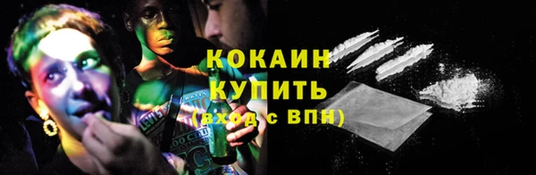 шишки Осташков