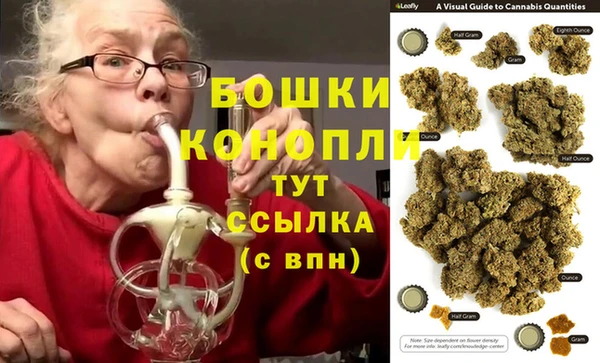 молекула духа Нязепетровск