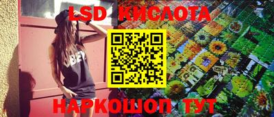 крисы Кандалакша