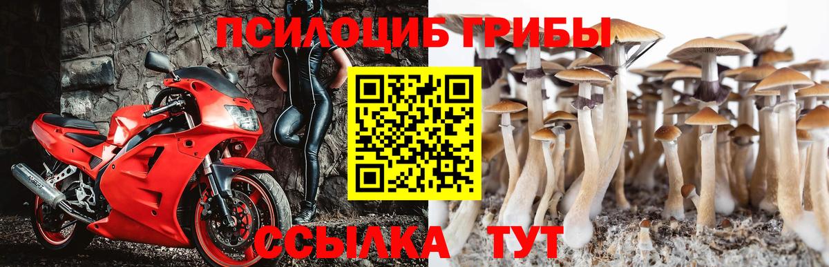 Нарьян-Мар  Галлюциногенные грибы Cubensis  Псилоцибиновые грибы мицелий  Вход с VPN 