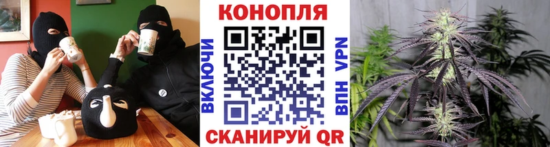 Шишки марихуана Amnesia  мориарти какой сайт  Нарьян-Мар  цены наркотик 